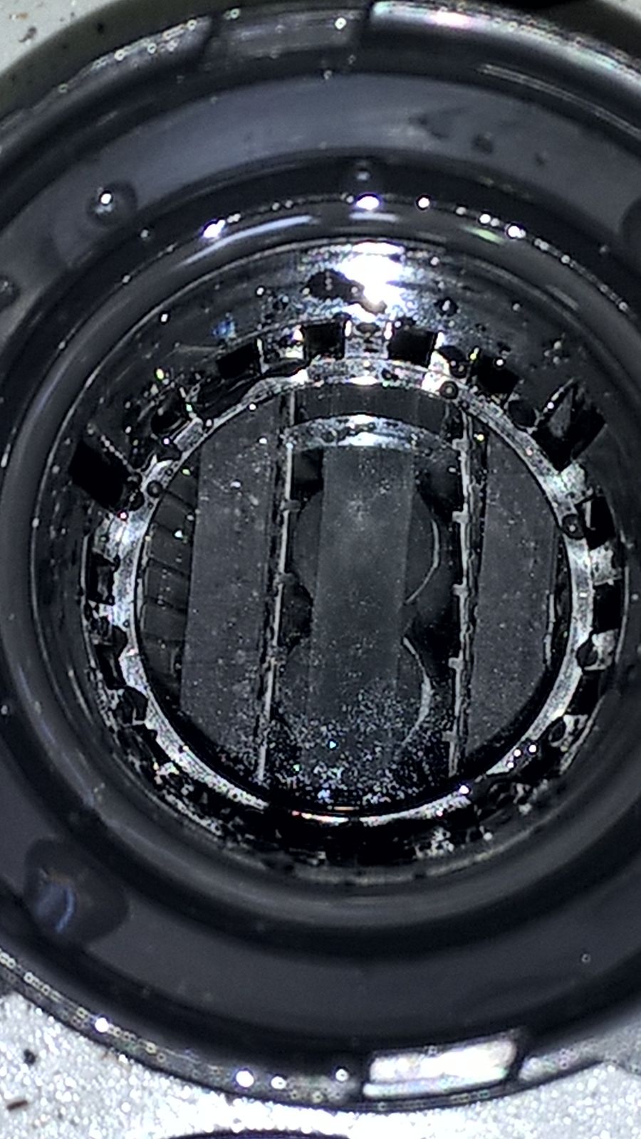 ForumEA/M/0f09a647-a37a-4336-96e5-295e69966931 (1).jpe